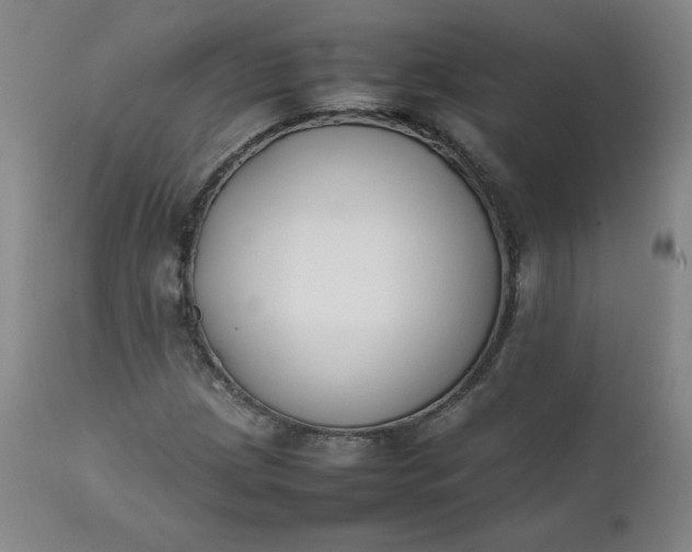 X0000112211209200908211510