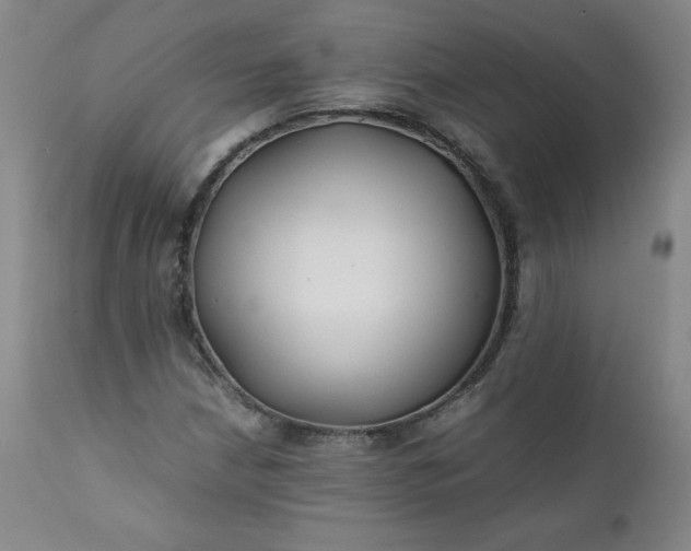 X0000112211210200908211510