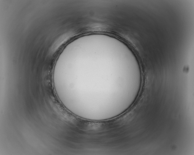 X0000112211211200908211510