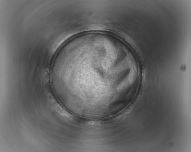 X0000112211212200908211510