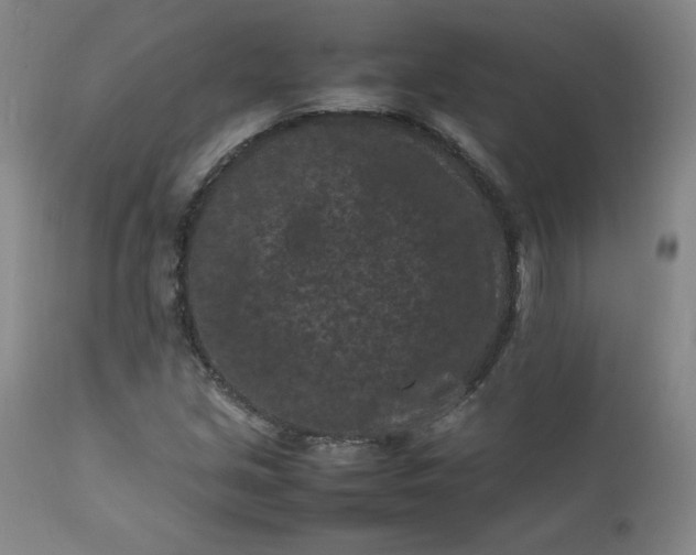 X0000112211213200908211510