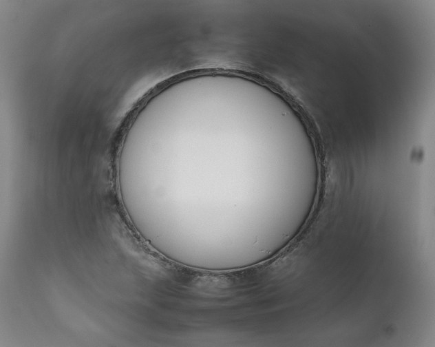 X0000112211215200908211510