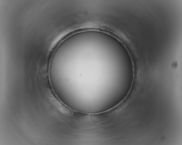 X0000112211216200908211510