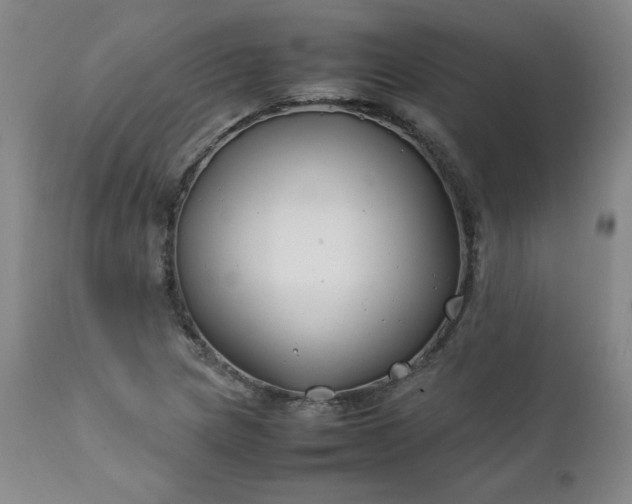 X0000112211217200908211510