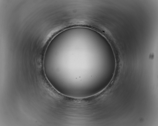 X0000112211218200908211510