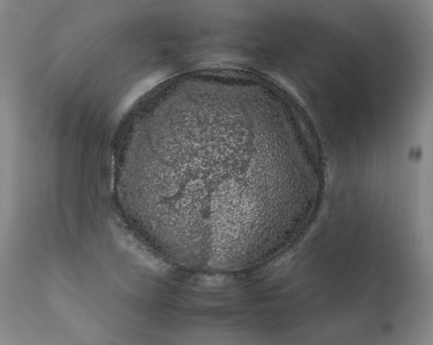 X0000112211219200908211510