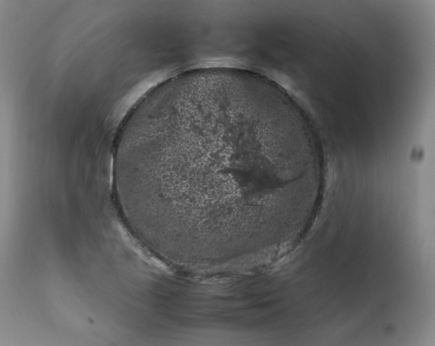 X0000112211221200908211510