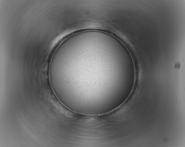 X0000112211222200908211510