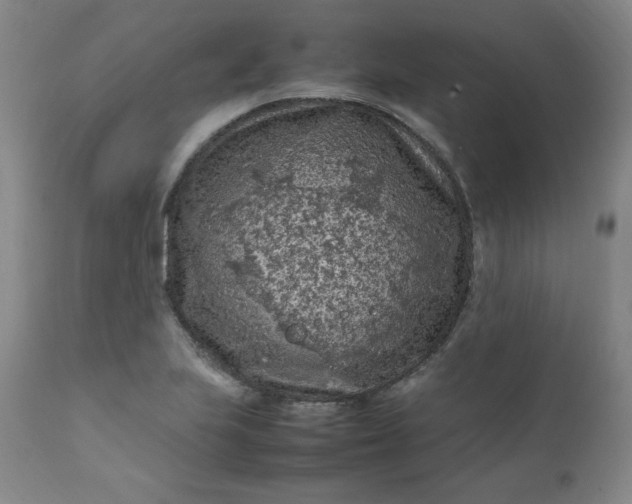 X0000112211223200908211510