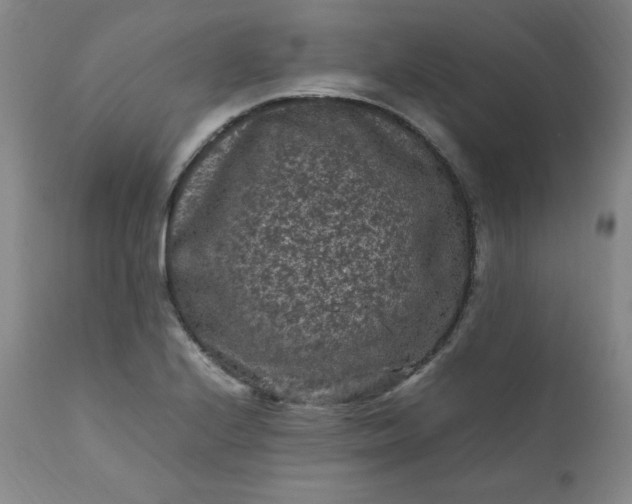 X0000112211224200908211510