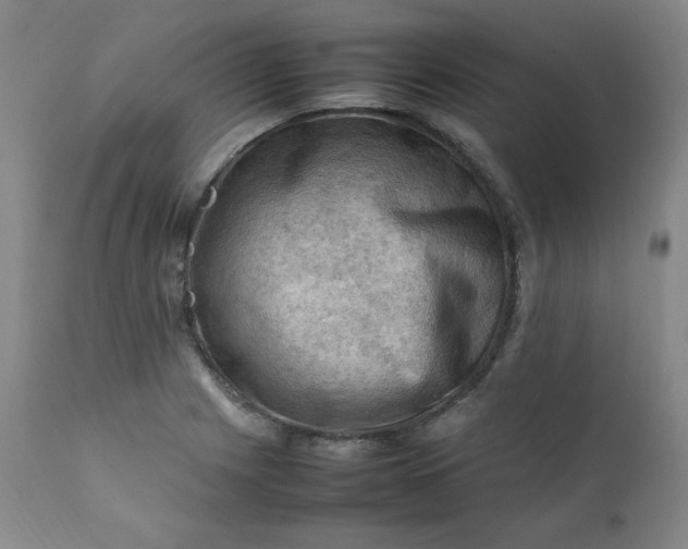 X0000112211225200908211510