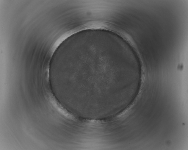 X0000112211226200908211510