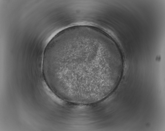 X0000112211228200908211510