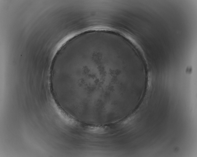 X0000112211229200908211510