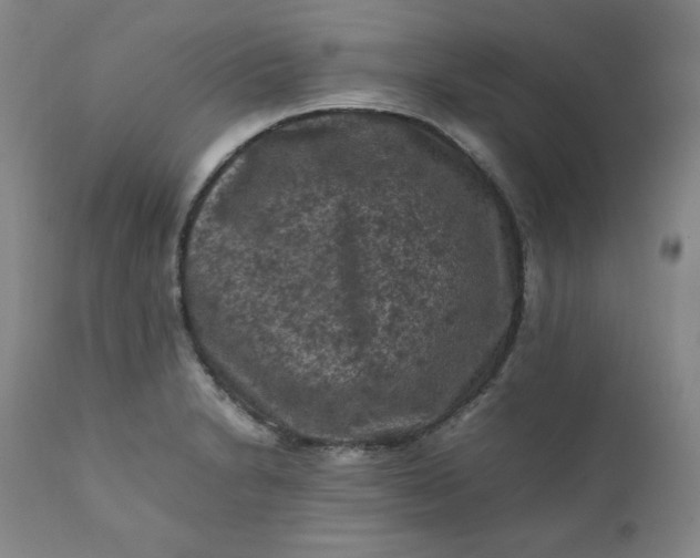 X0000112211230200908211510