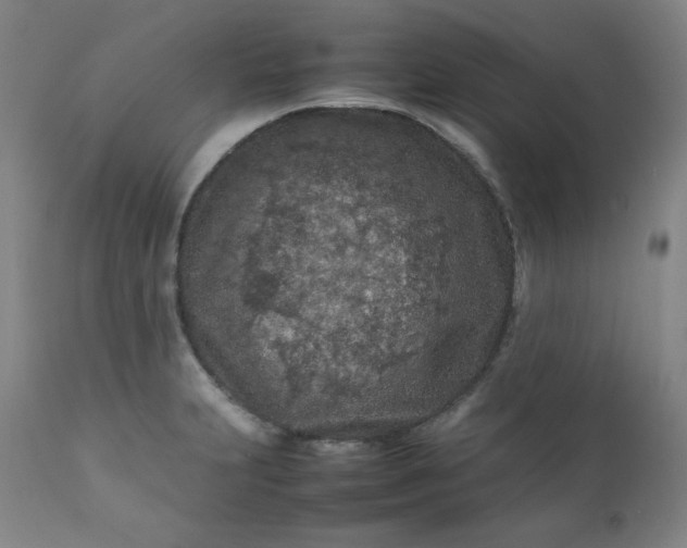 X0000112211231200908211510