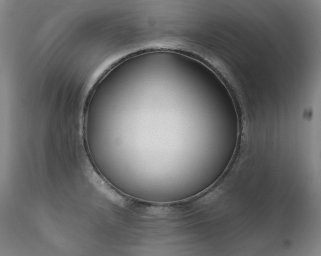 X0000112211232200908211510