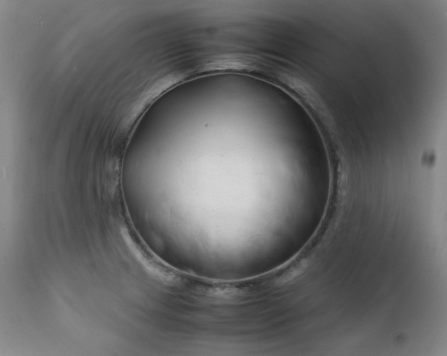 X0000112211233200908211510