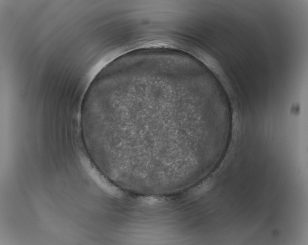 X0000112211234200908211510