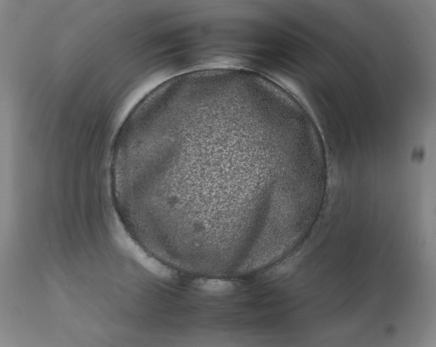 X0000112211235200908211510