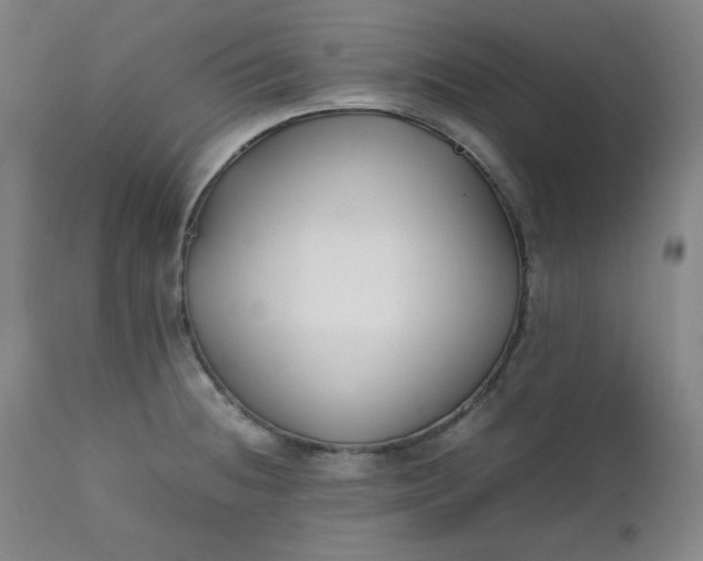 X0000112211236200908211510