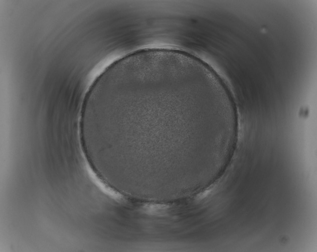 X0000112211237200908211511