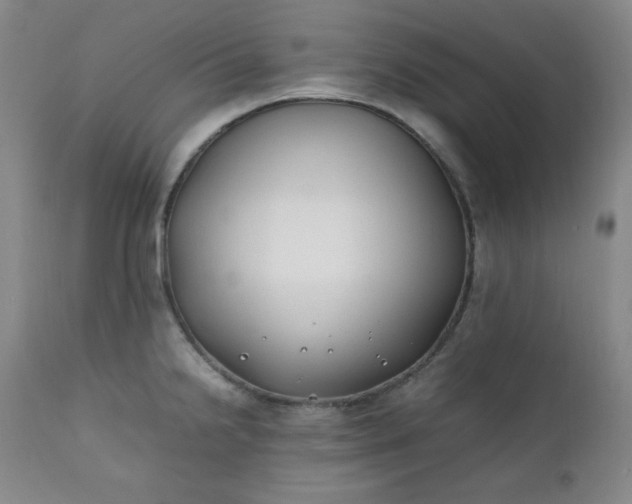 X0000112211238200908211511