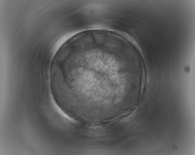 X0000112211239200908211511