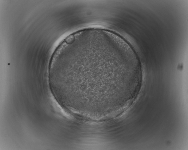 X0000112211240200908211511