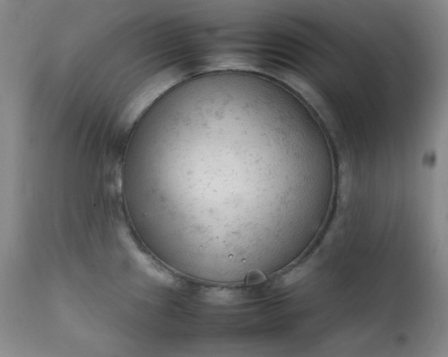 X0000112211241200908211511