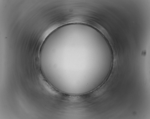 X0000112211242200908211511