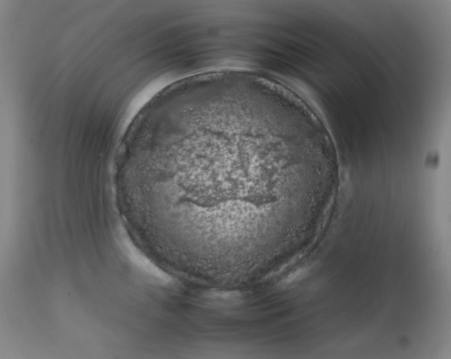 X0000112211243200908211511