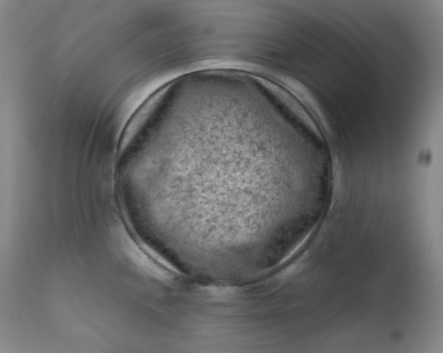 X0000112211244200908211511