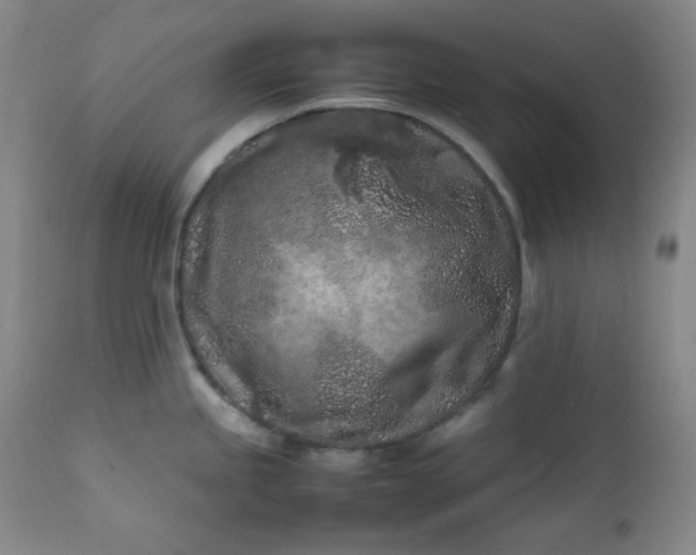 X0000112211245200908211511