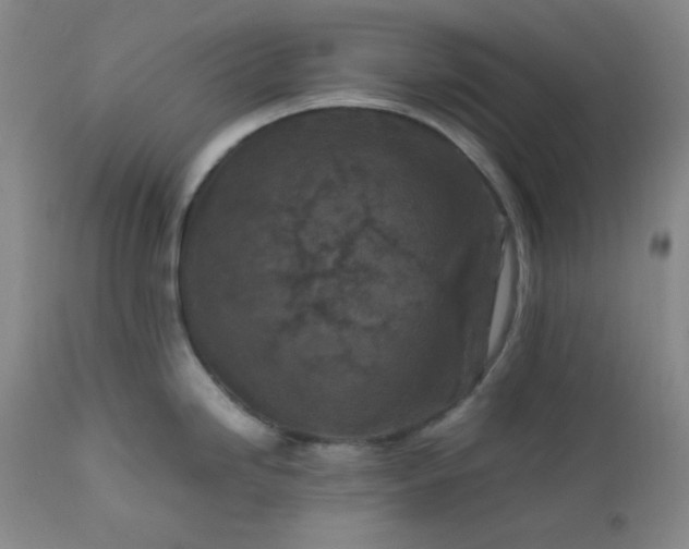 X0000112211246200908211511