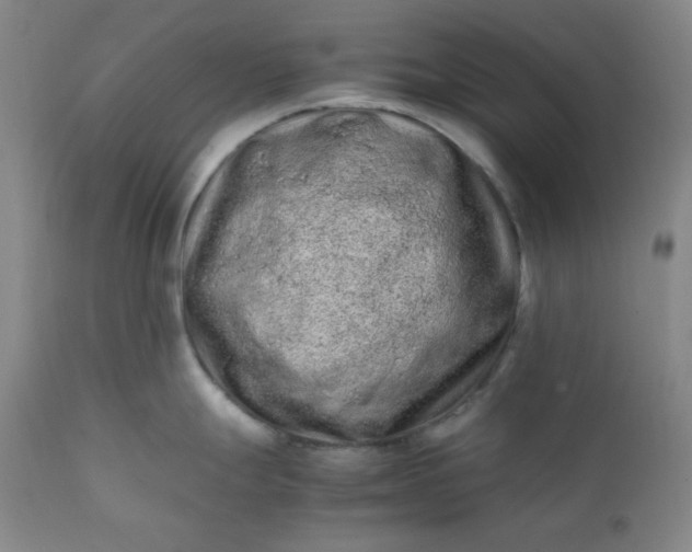 X0000112211247200908211511