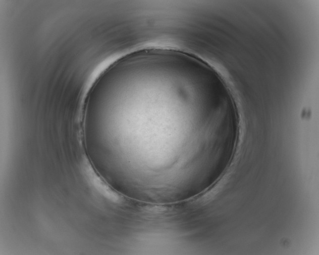 X0000112211248200908211511