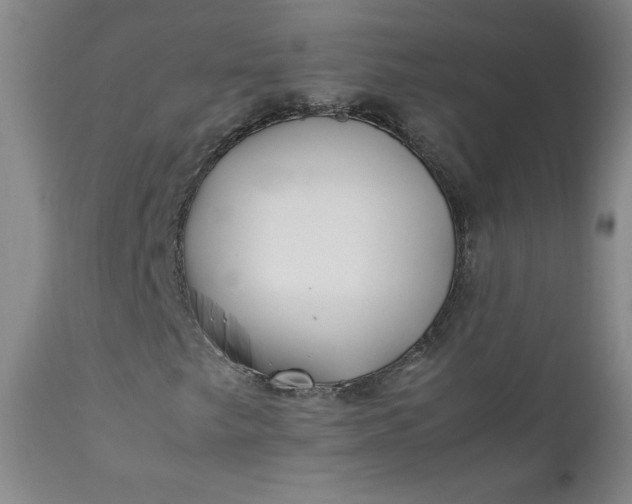 X0000112211249200908211510