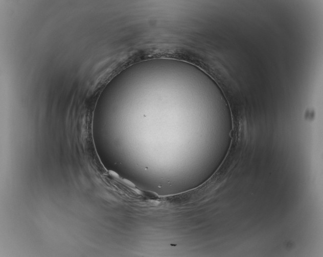 X0000112211250200908211510