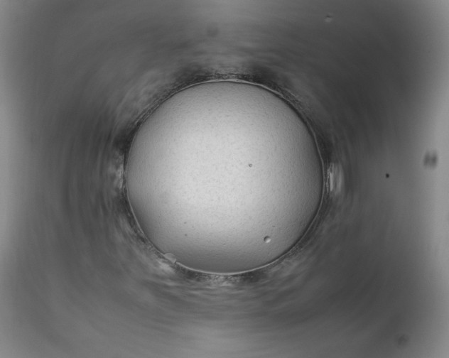 X0000112211251200908211510