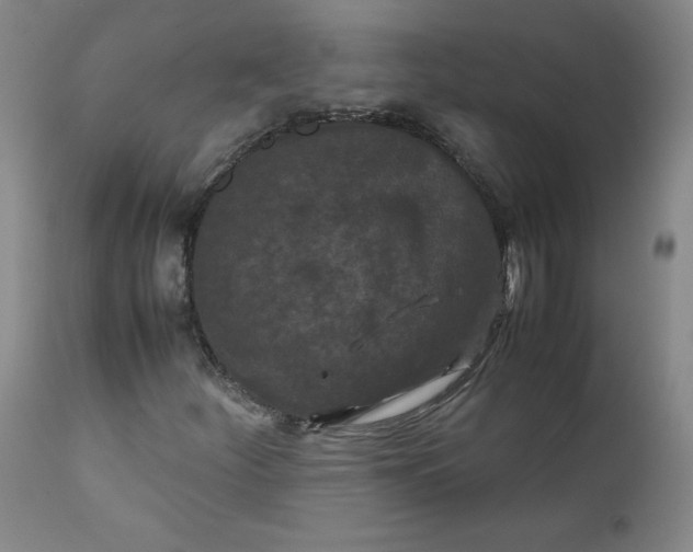 X0000112211252200908211510