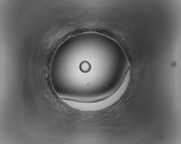 X0000112211253200908211510