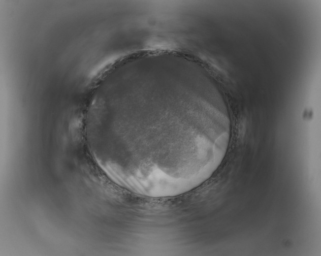 X0000112211254200908211510