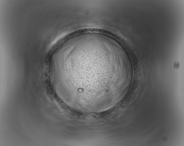 X0000112211255200908211510