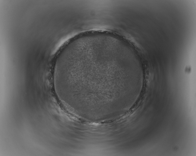 X0000112211256200908211510