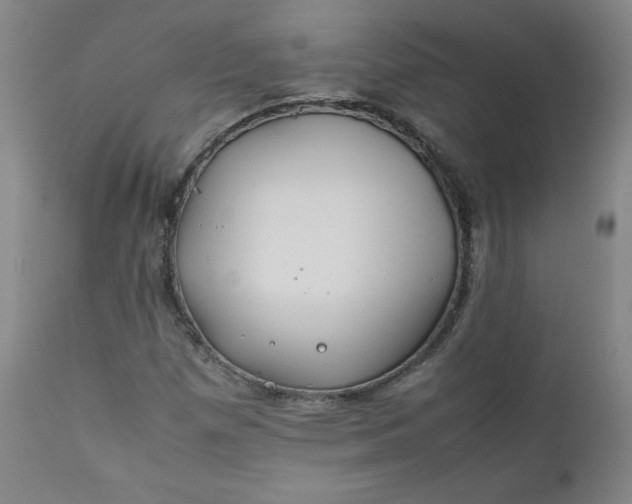 X0000112211257200908211510