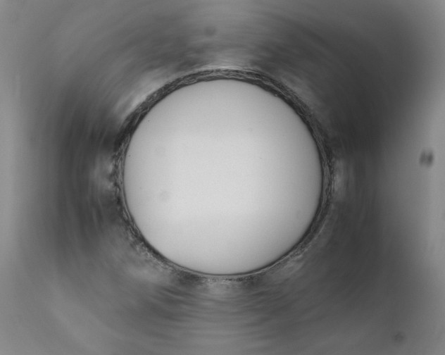 X0000112211258200908211510