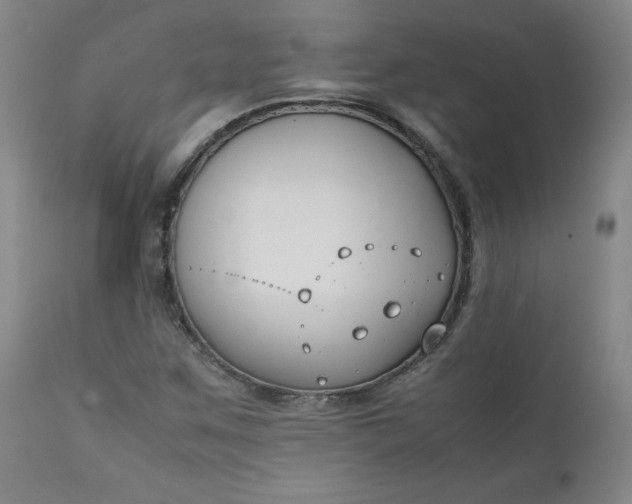 X0000112211259200908211510