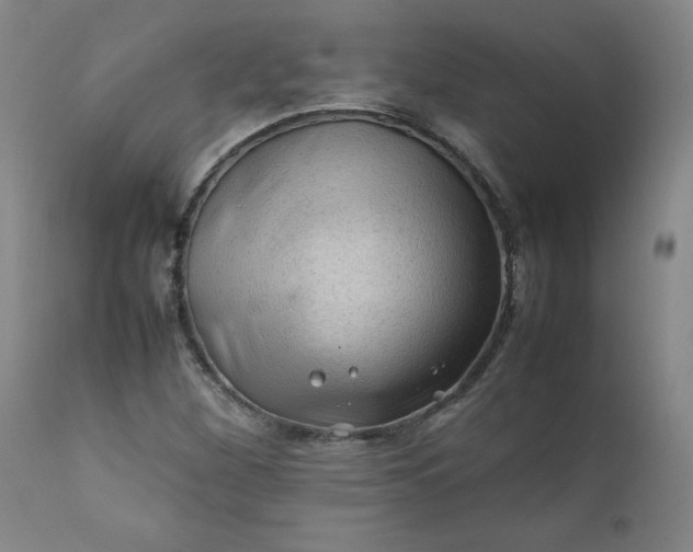 X0000112211260200908211510