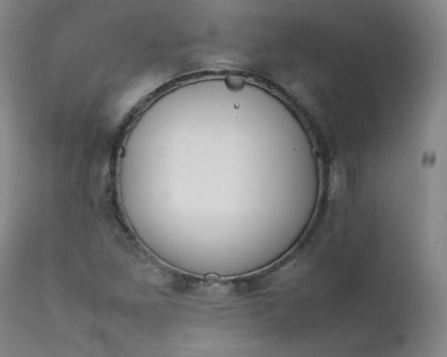 X0000112211261200908211510